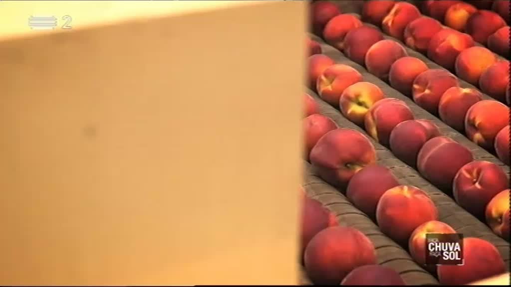 Imagem do Programa / Episiódio - Faça Chuva Faça Sol