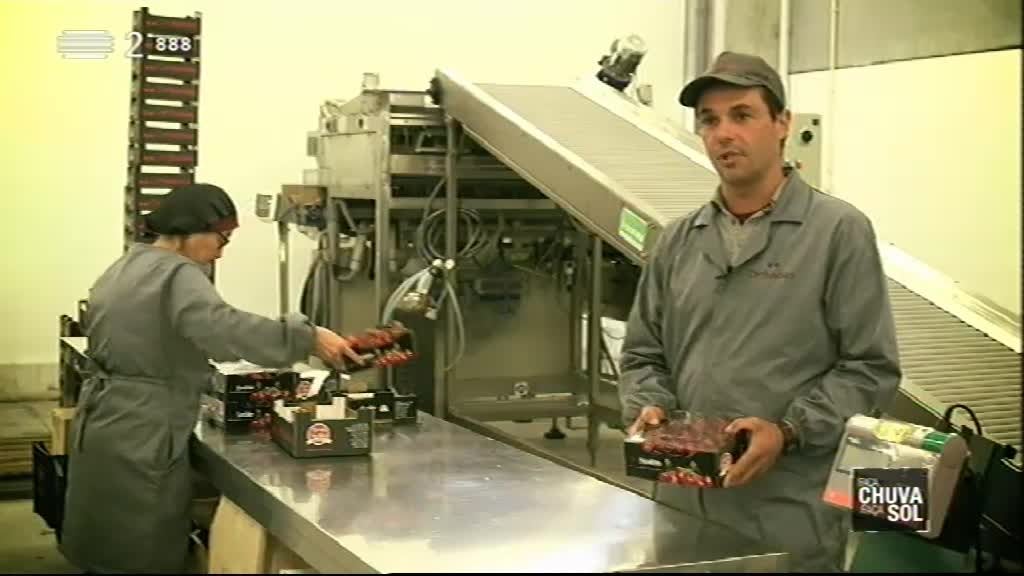 Imagem do Programa / Episiódio - Faça Chuva Faça Sol