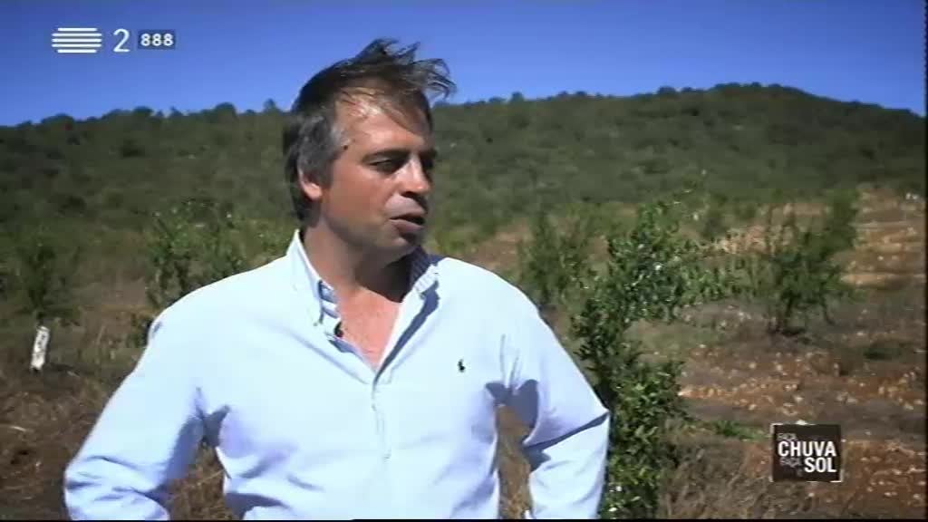 Imagem do Programa / Episiódio - Faça Chuva Faça Sol