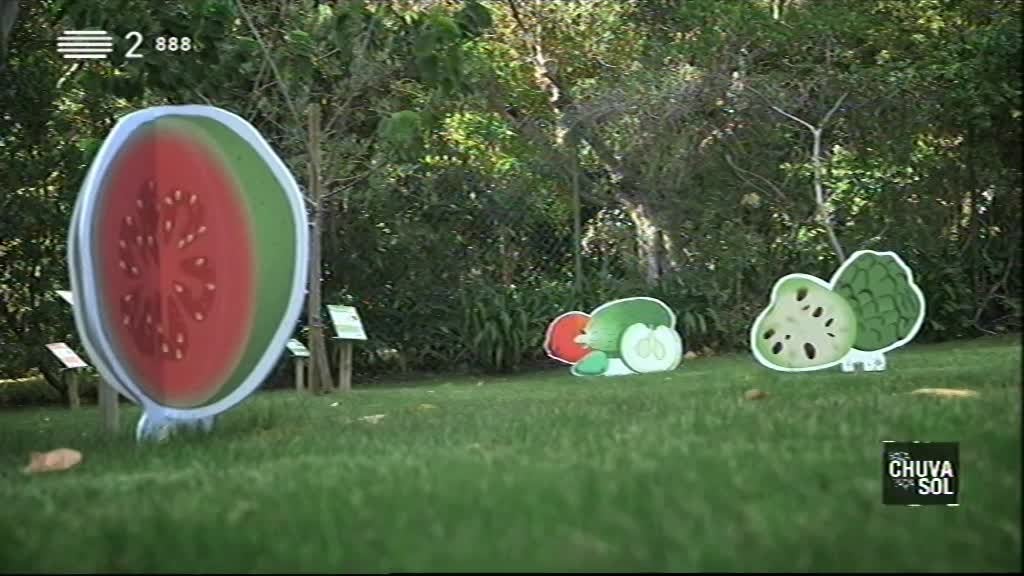 Imagem do Programa / Episiódio - Faça Chuva Faça Sol