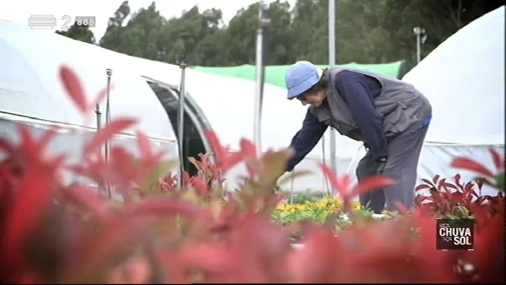 Imagem do Programa / Episiódio - Faça Chuva Faça Sol