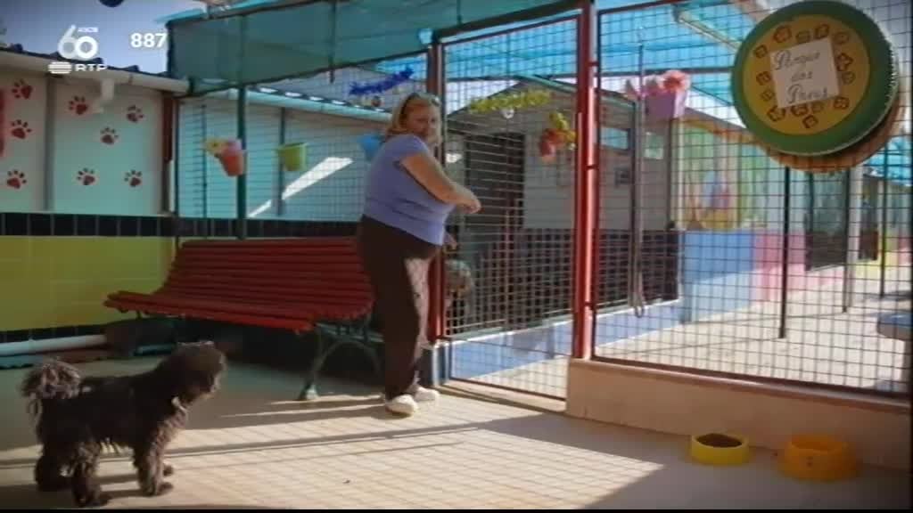 Imagem do Programa / Episiódio - Animais Anónimos