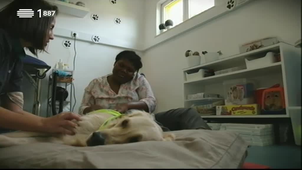 Imagem do Programa / Episiódio - Animais Anónimos