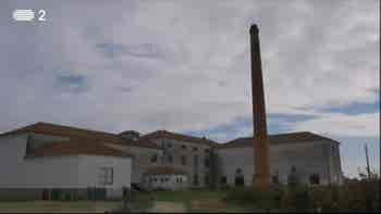 A M�quina a Vapor...