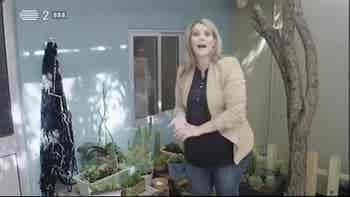 Carta de Condu��o...