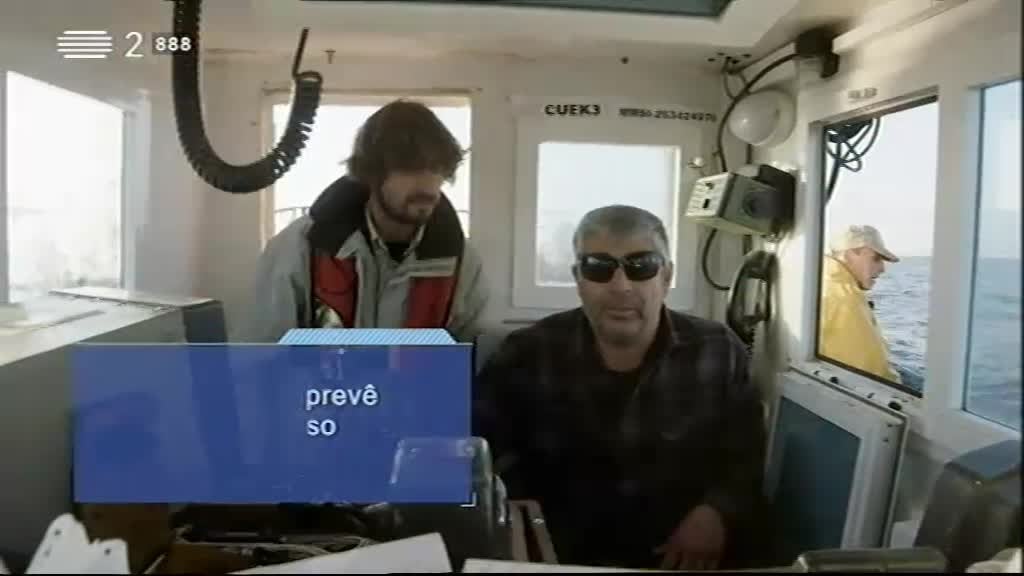 Imagem do Programa / Episiódio - Bombordo - Polvo Que É Nosso