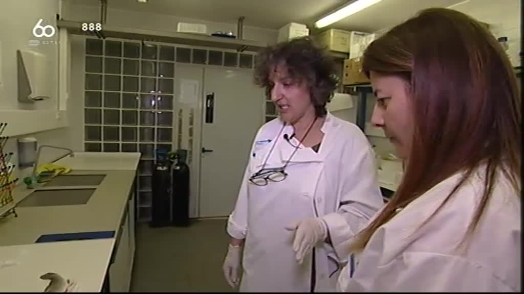 Imagem do Programa / Episiódio - Bombordo - Eu Sou Uma Corvina