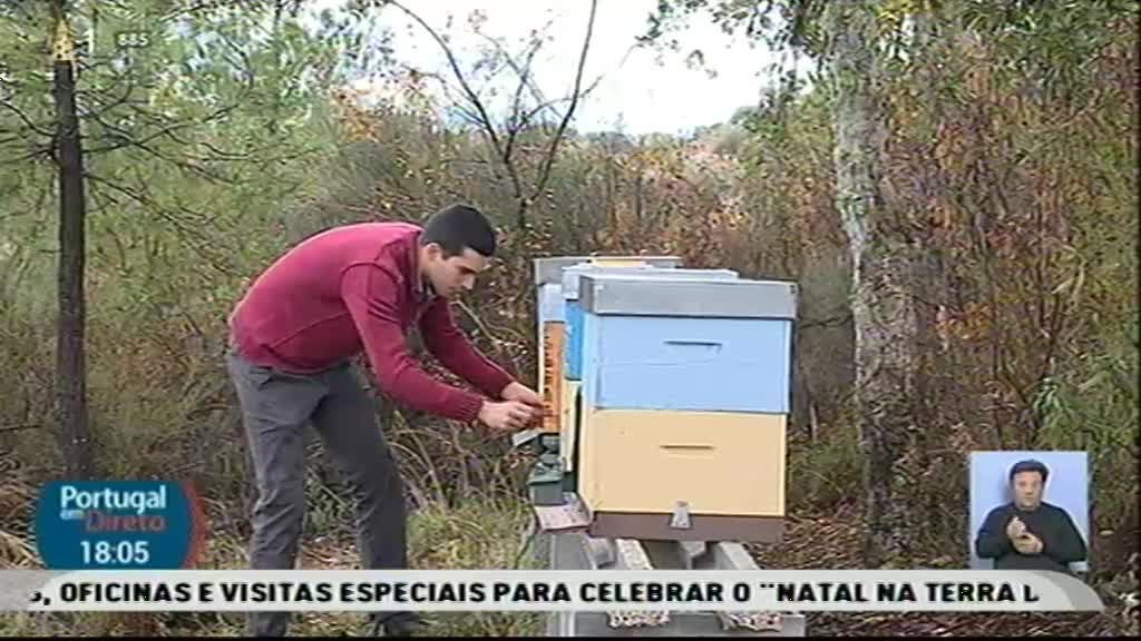 Imagem do Programa / Episiódio - Portugal em Direto
