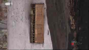 O Relat�rio da Trag�dia...