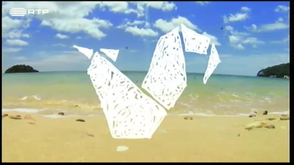 Solférias e Origama