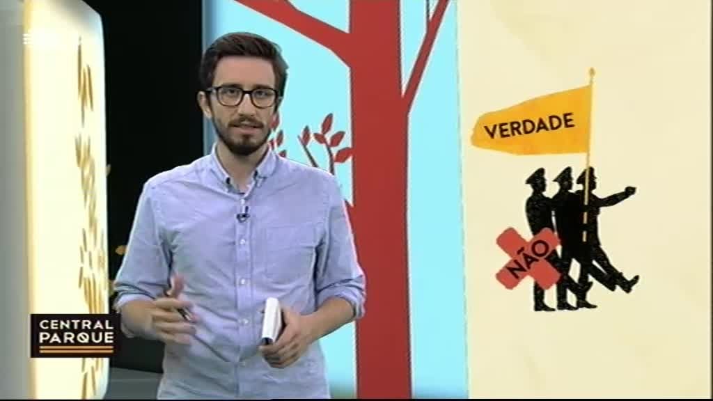 Imagem do Programa / Episiódio - Central Parque