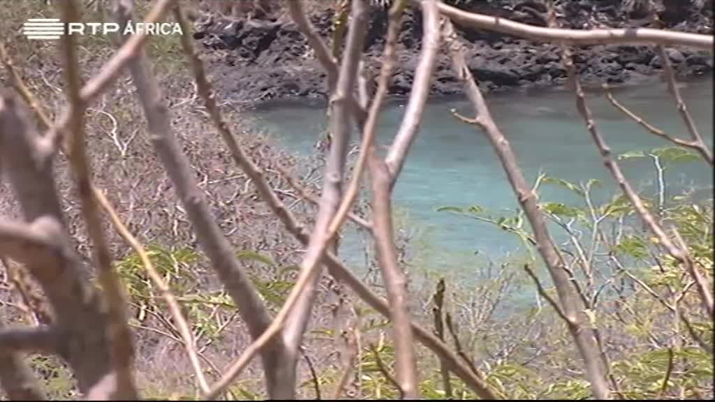 Imagem do Programa / Episiódio - África Global