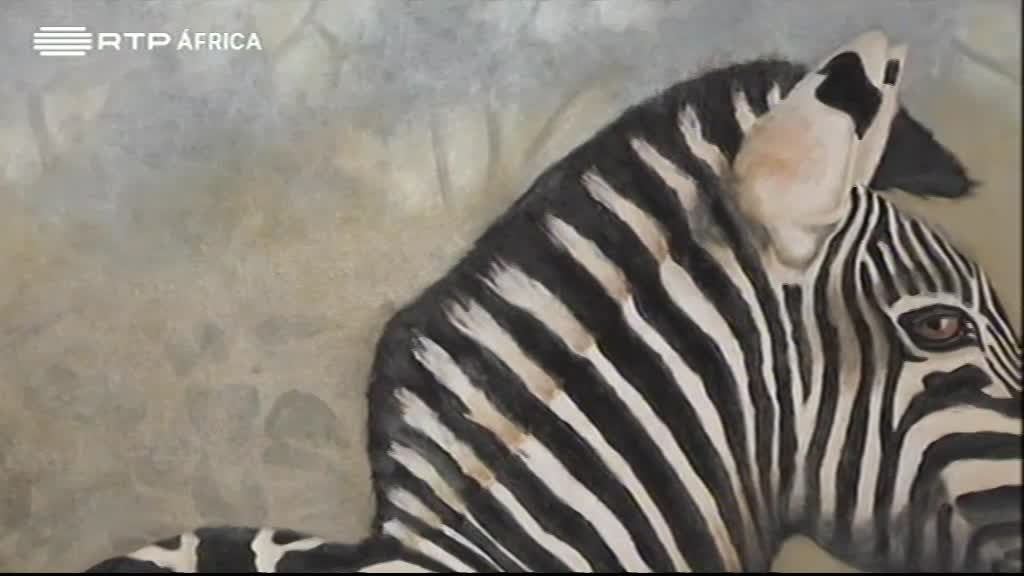 Imagem do Programa / Episiódio - Rumos