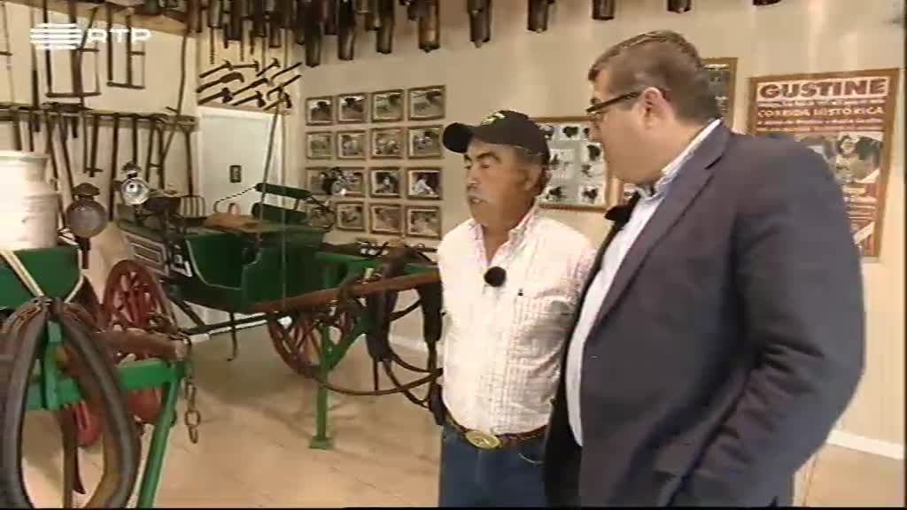 Imagem do Programa / Episiódio - Hora dos Portugueses (Fim de Semana)