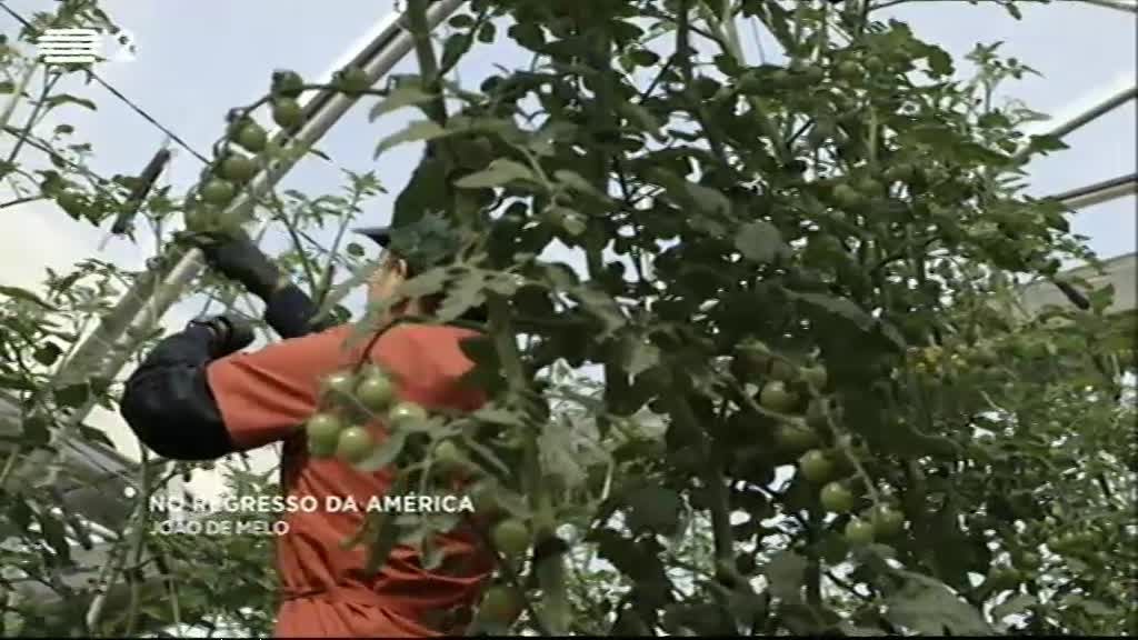 Imagem do Programa / Episiódio - Literatura Aqui - Esta semana, partimos à procura da pureza no Literatura Aqui