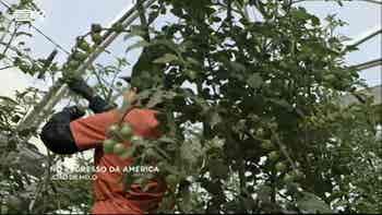 Esta semana, partimos � procura da p...