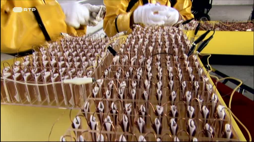 Imagem de Descobrir a Ciência - O Carro Limão