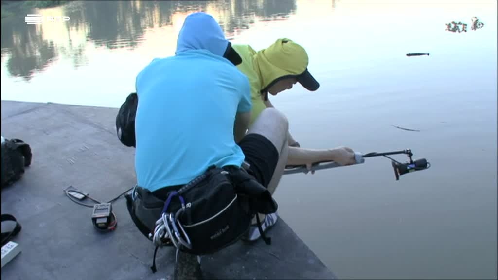 Imagem de Descobrir a Ciência - Quanto Pesa um Elefante