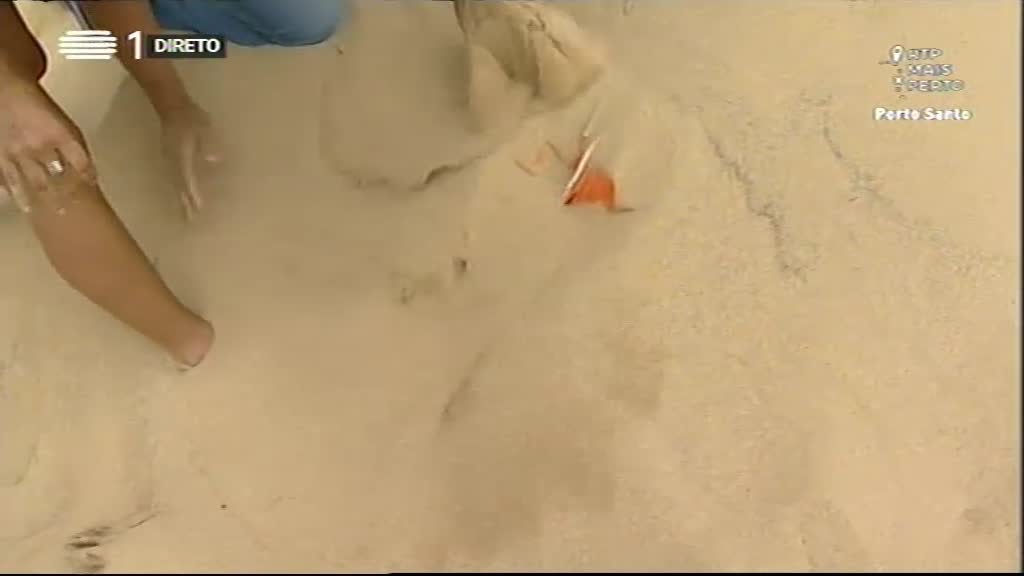 Imagem do Programa / Episiódio - RTP Mais Perto