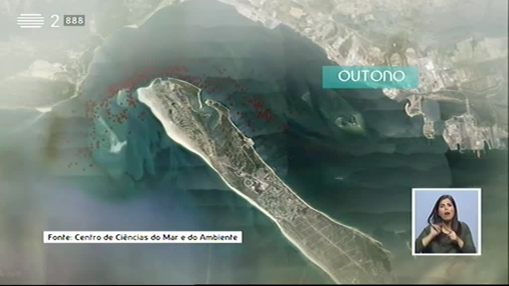 Imagem do Programa / Episiódio - Biosfera - O Futuro dos Golfinhos do Sado