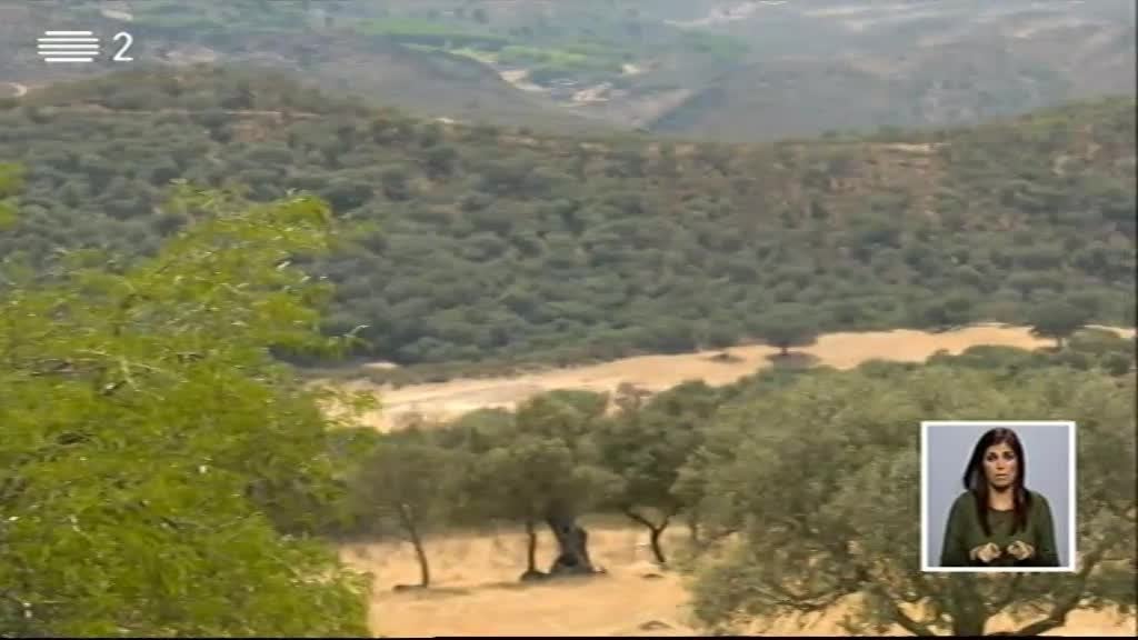 Imagem do Programa / Episiódio - Biosfera - Como Pode o Alentejo Adaptar-se à Mudança Climática?