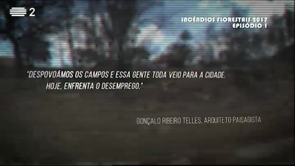 Imagem do Programa / Episiódio - Biosfera - Incêndios Florestais de 2017