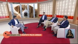 Animais de Casa