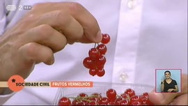 Frutos Vermelhos