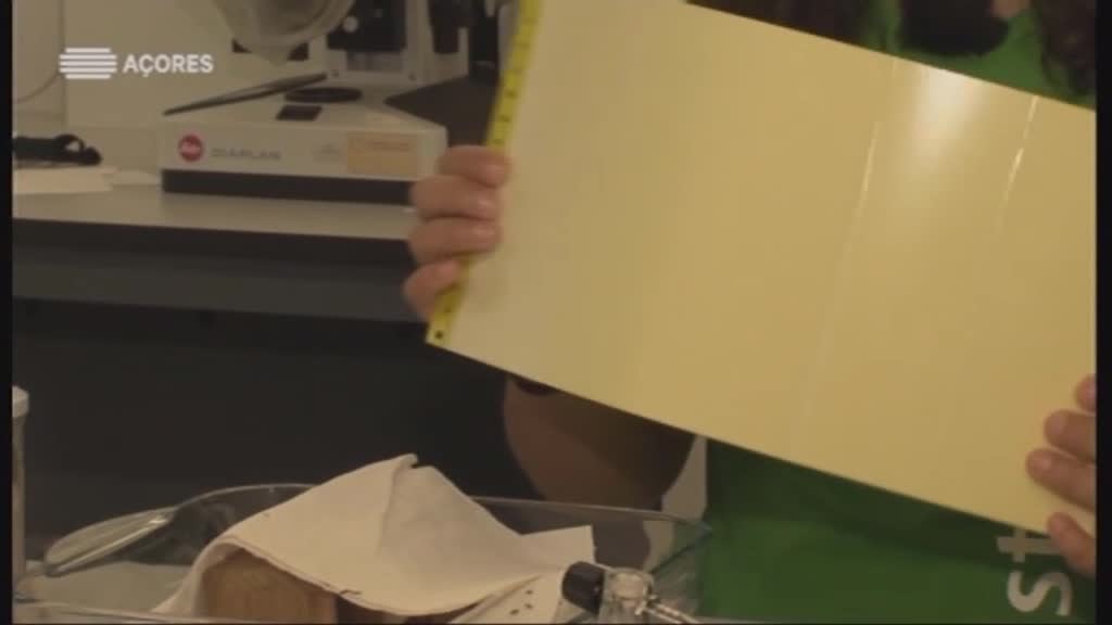 Imagem do Programa / Episiódio - Jovens Cientistas dos Açores