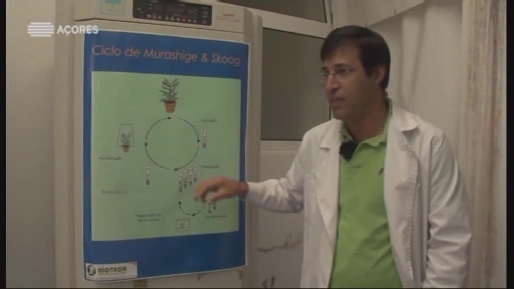 Imagem do Programa / Episiódio - Jovens Cientistas dos Açores