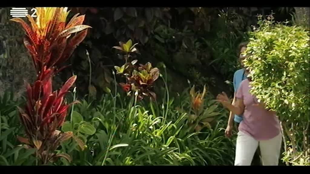Imagem do Programa / Episiódio - Paraíso - Jardins do Hotel Reid´s, Funchal