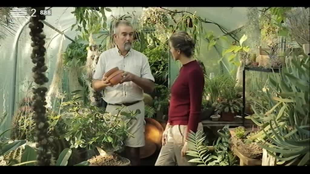 Imagem do Programa / Episiódio - Paraíso - Viveiro Verdeal da Roca, Sintra