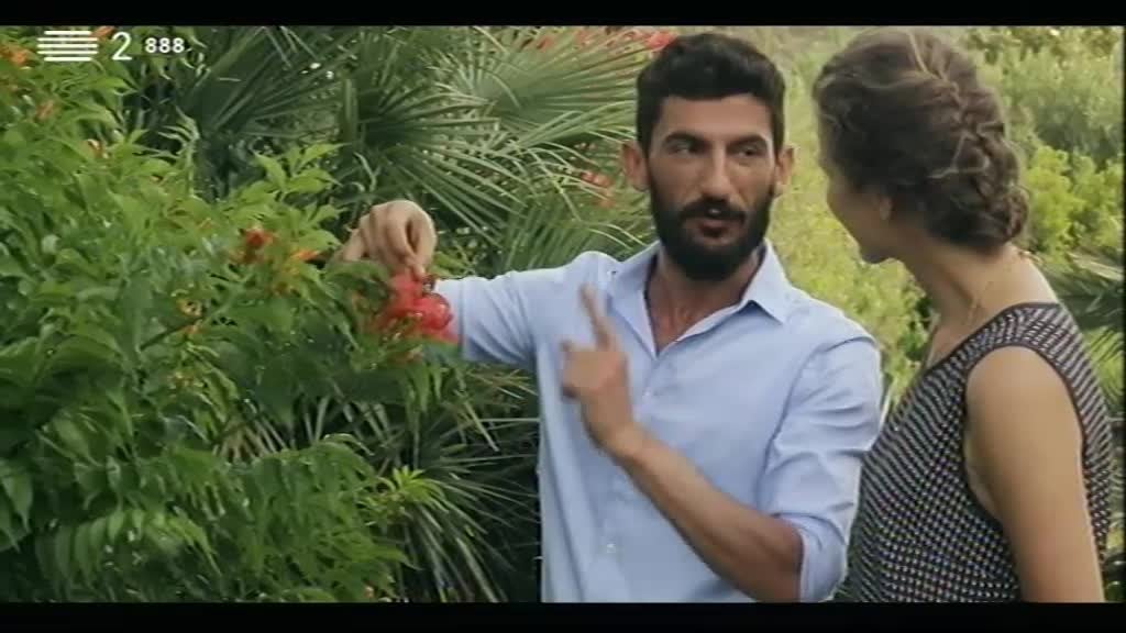 Imagem do Programa / Episiódio - Paraíso - Lindsey