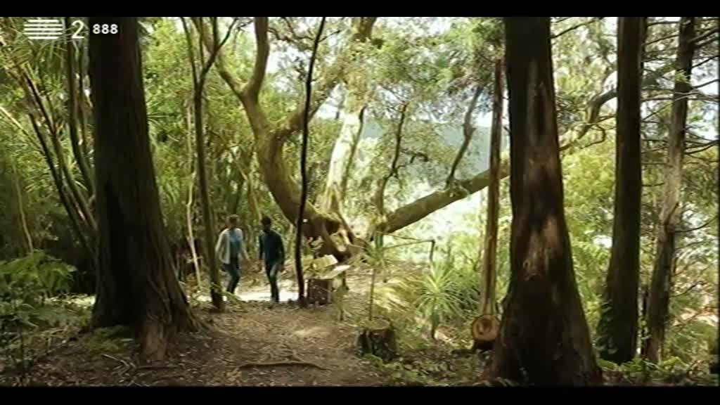 Imagem do Programa / Episiódio - Paraíso - Mata-Jardim José do Canto