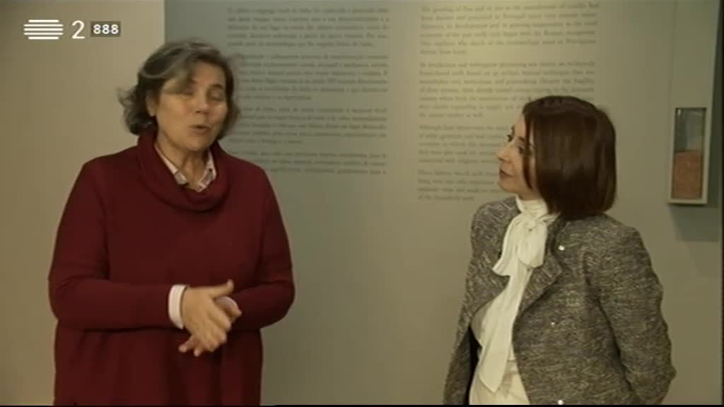 Imagem do Programa / Episiódio - Visita Guiada - Museu Francisco Tavares Proença Júnior, Castelo Branco