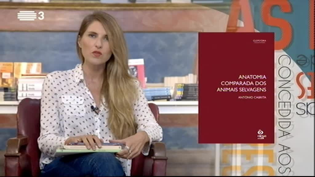 Imagem do Programa / Episiódio - Todas as Palavras