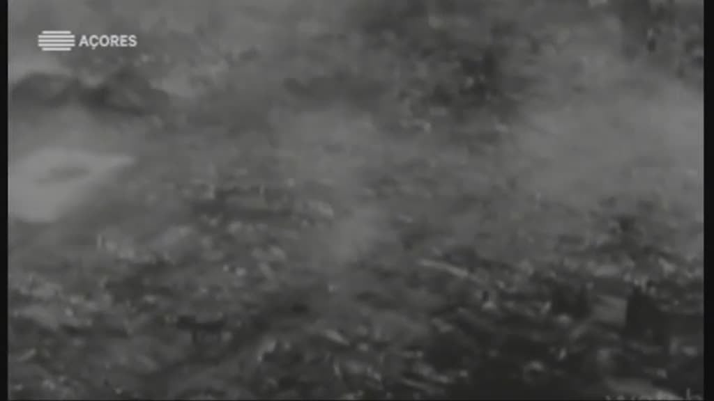 Imagem do Programa / Episiódio - Cidadania Europeia - a Europa para os a�