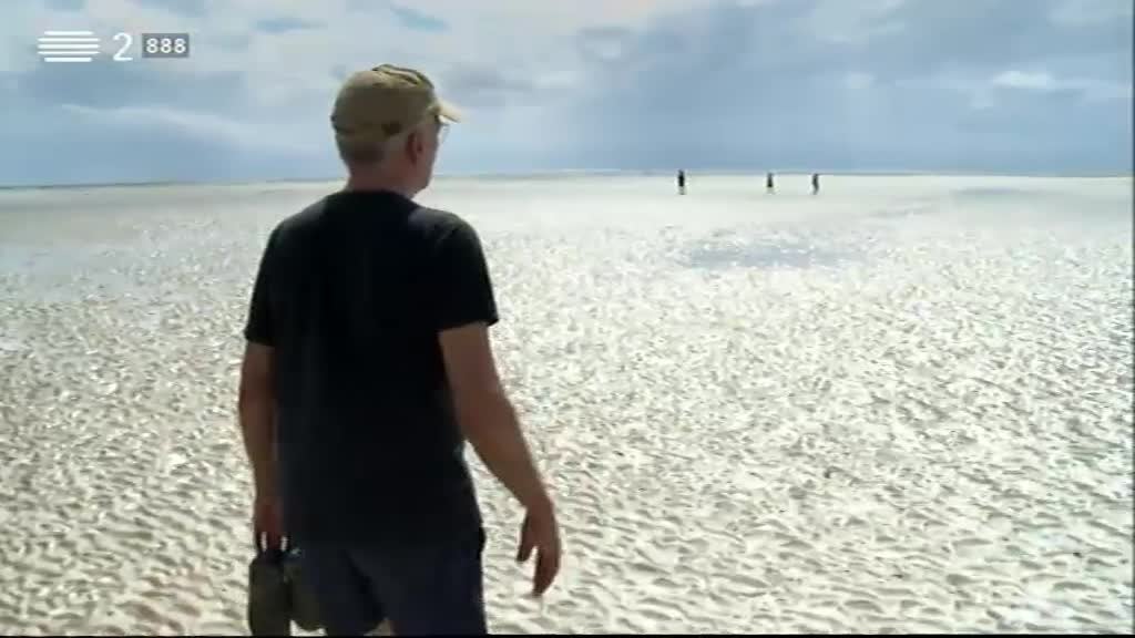 Imagem do Programa / Episiódio - No Trilho dos Naturalistas - Moçambique