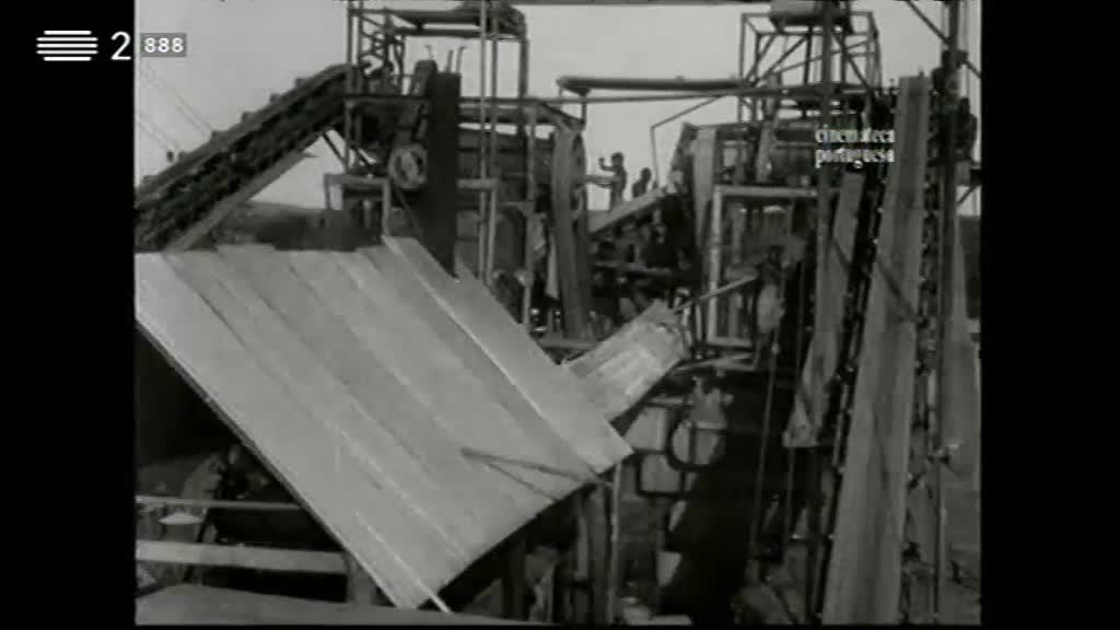 Imagem do Programa / Episiódio - No Trilho dos Naturalistas - Angola