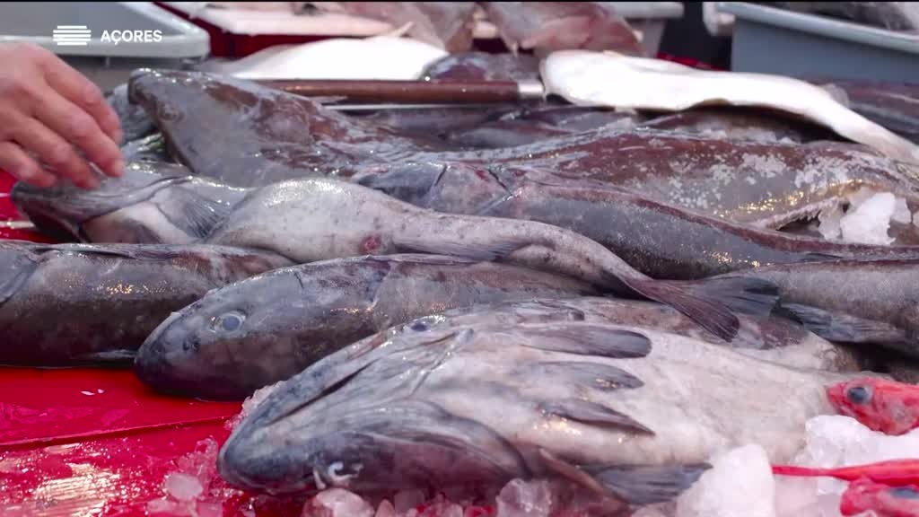 Imagem de Consulta Externa