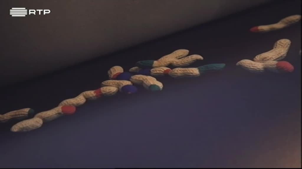 Imagem do Programa / Episiódio - Criar.pt - Wolf and Rita - Cláudia Rocha