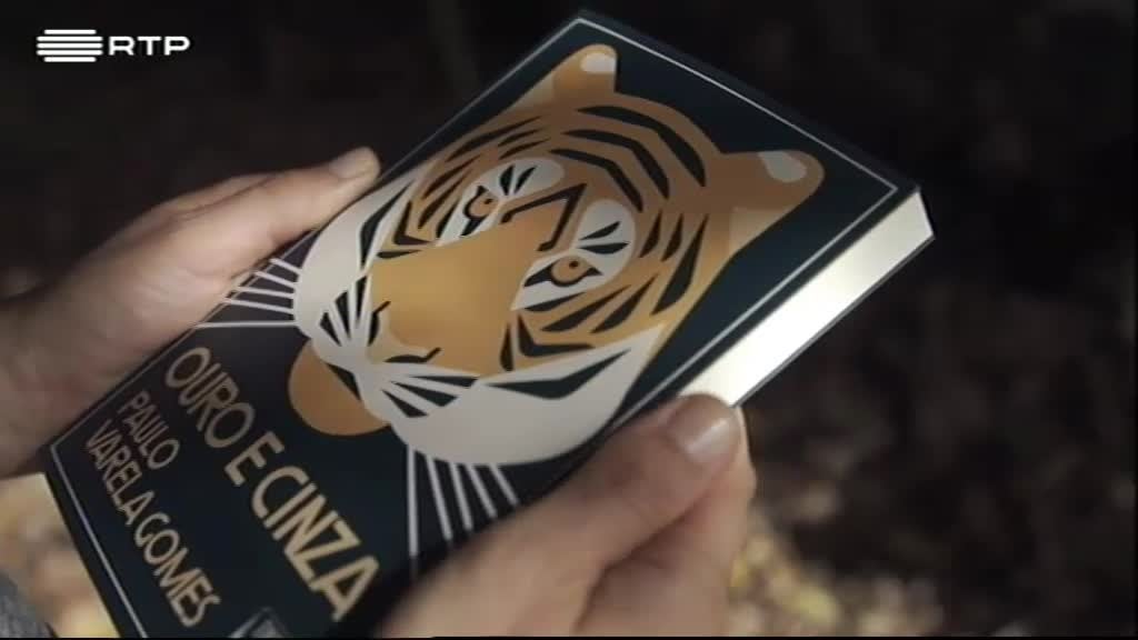 Imagem do Programa / Episiódio - Criar.pt - "Ouro e Cinza", de Paulo Varela Gomes, por Vera Tavares