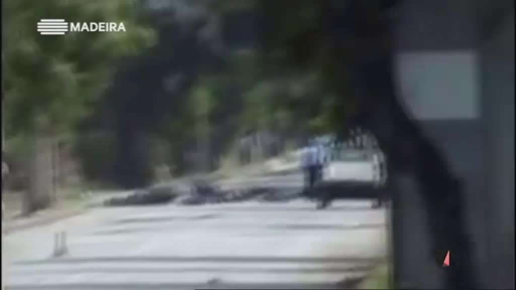 Imagem do Programa / Episiódio - Vidas de Mérito