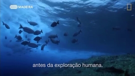 Imagem de Ilhas de Arqueologia