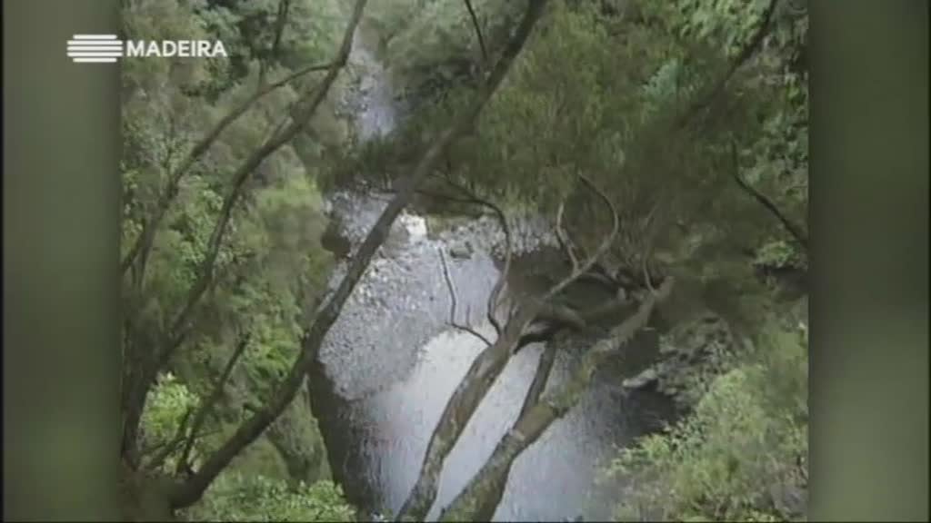 Imagem do Programa / Episiódio - Puxa Para Trás