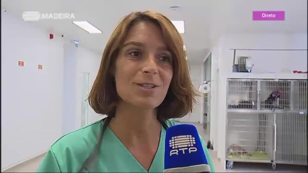 Imagem do Programa / Episiódio - Madeira Natura