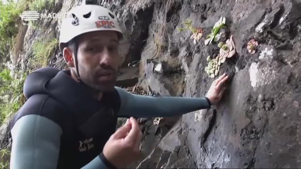 Imagem do Programa / Episiódio - Madeira Natura