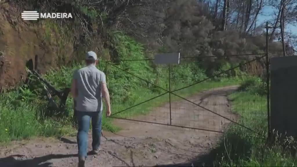 Imagem do Programa / Episiódio - Madeira Natura