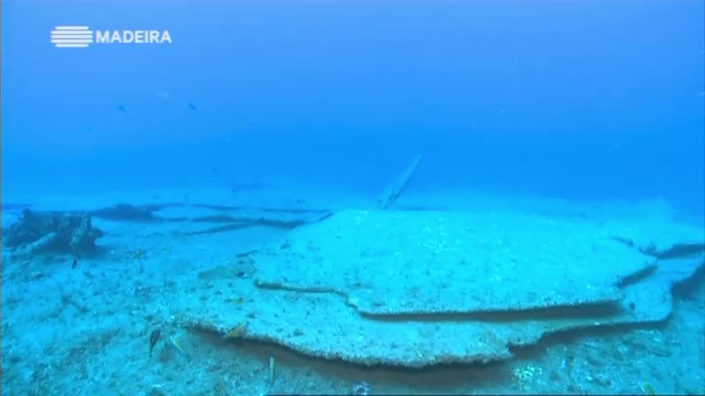 Imagem do Programa / Episiódio - Madeira Natura