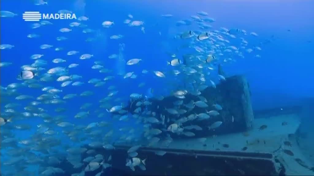 Imagem do Programa / Episiódio - Madeira Natura